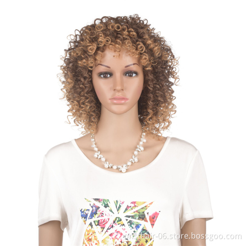 T27/33 Color 14'' Short Afro Curly Hair Wig With Bangs Heat Resistant Fiber Kinky Curly Synthetic Hair Wigs For American African